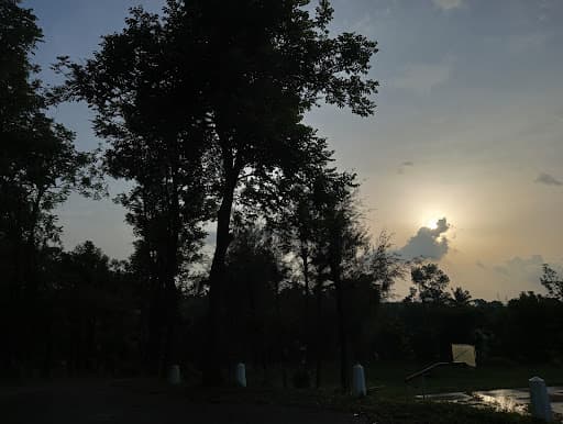 SDMIT-gallery-image-7