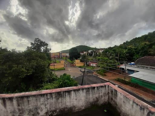 MITE-gallery-image-4