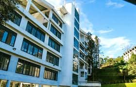 DCSAD-gallery-image-0