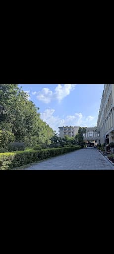 DJCDSR-gallery-image-7