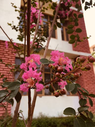 FDDI Patna-gallery-image-7