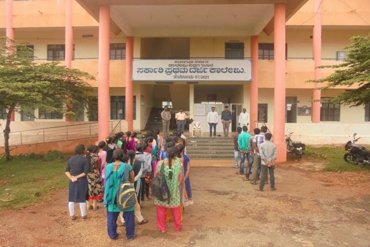 Government First Grade College Halebeedu-image