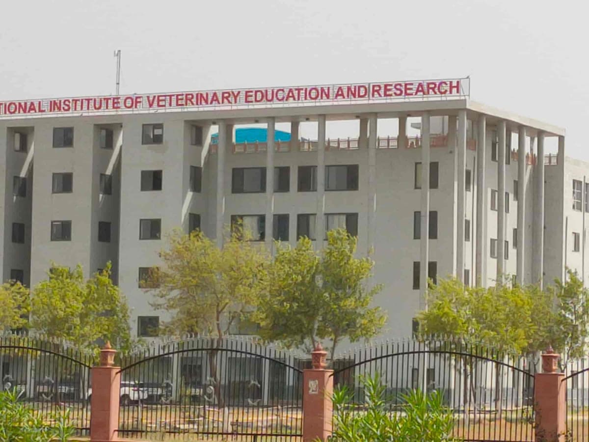 IIVER Rohtak-gallery-image-1