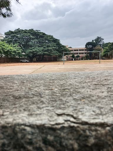 UMDC-gallery-image-7