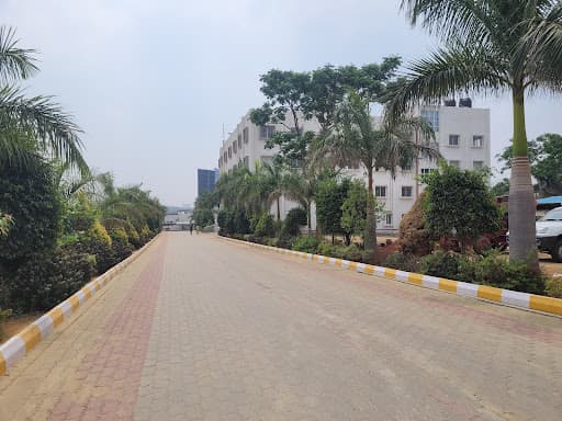 DBIMSCA-gallery-image-5