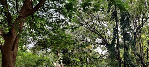 OU College of Science-gallery-image-6