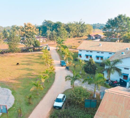 Girijananda Chowdhury Institute of Pharmaceutical Science Tezpur-image