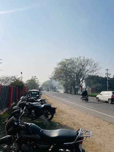 Dolphin (PG) College-gallery-image-7