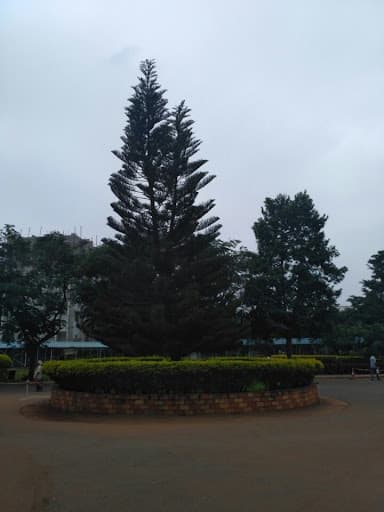 PIMS-gallery-image-7