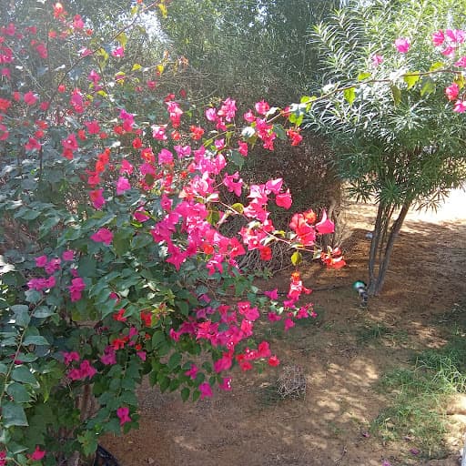 R V S College of Engineering and Technology-gallery-image-5