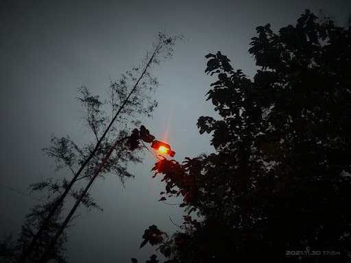 CVSAH Navsari-gallery-image-5