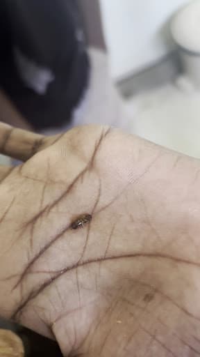 SCN Bengaluru-gallery-image-6