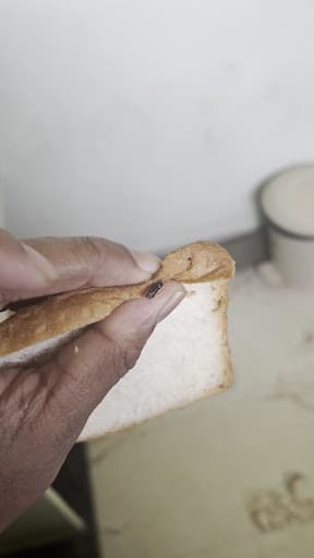 SCN Bengaluru-gallery-image-7