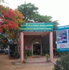 Indian Institute of Ayurvedic Medicine and Research-image