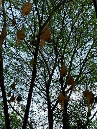 NIELIT Ajmer-gallery-image-7