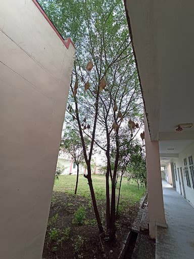 NIELIT Ajmer-gallery-image-6