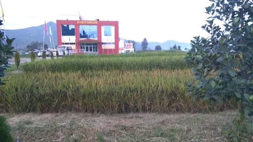 CAU Imphal-gallery-image-7