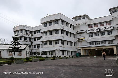 AGMC-gallery-image-3