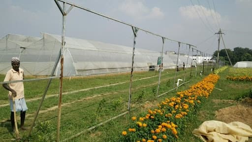 BAU Ranchi-gallery-image-5