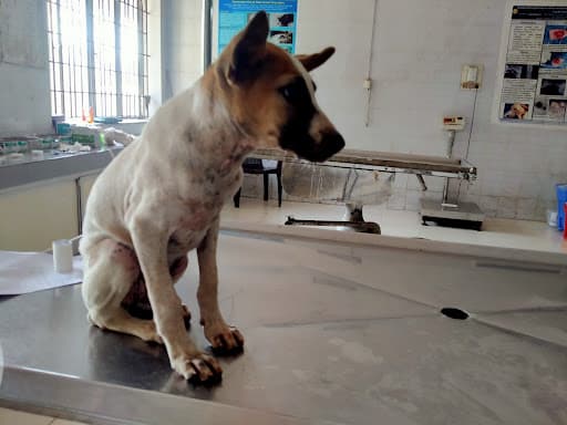 KVASU-gallery-image-7