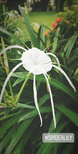 GIPE-gallery-image-7