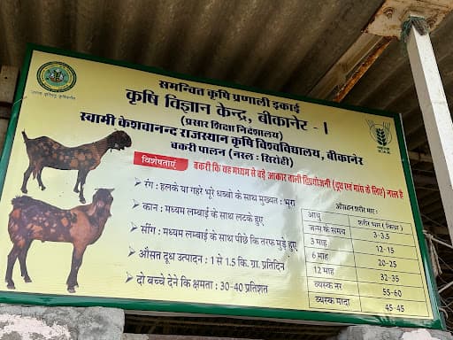 SKRAU Bikaner-gallery-image-6