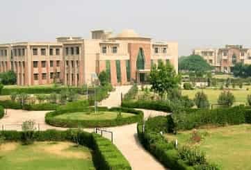 Singhania University-image