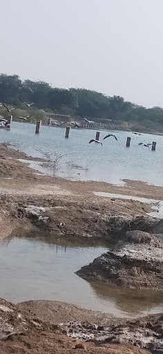 Sardar Patel University of Police Security and Criminal Justice-gallery-image-5