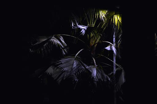 KU Jorhat-gallery-image-7