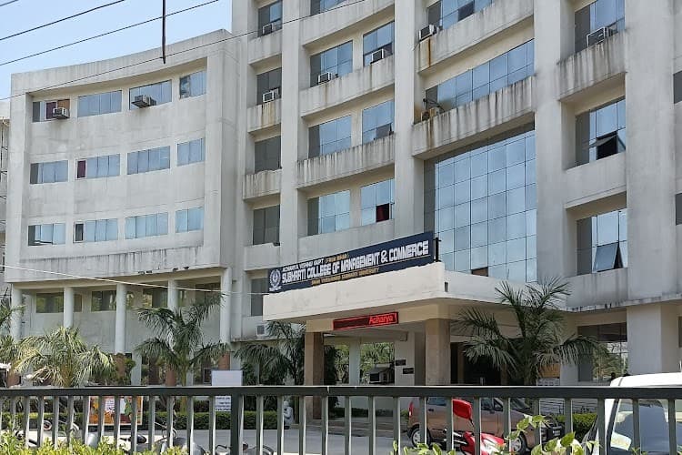 Swami Vivekanand Subharti University, Directorate of Distance Education-image