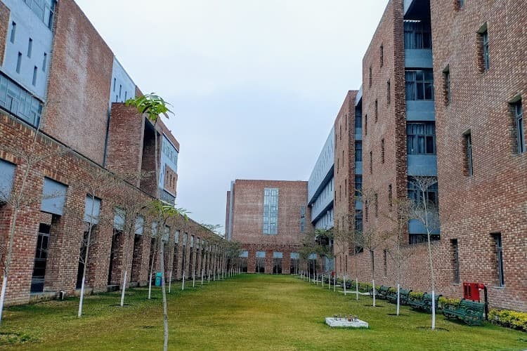 Apex Institute of Technology Mohali-gallery-image-0