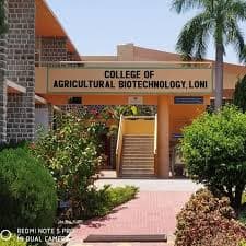 College of Agricultural Biotechnology-image