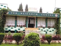Darjeeling Tea Research and Management Association-gallery-image-2