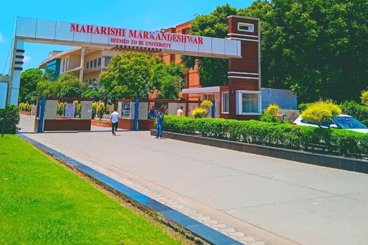 MM Institute of Physiotherapy and Rehabilitation-image