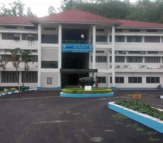 National Research Centre on Mithun-image