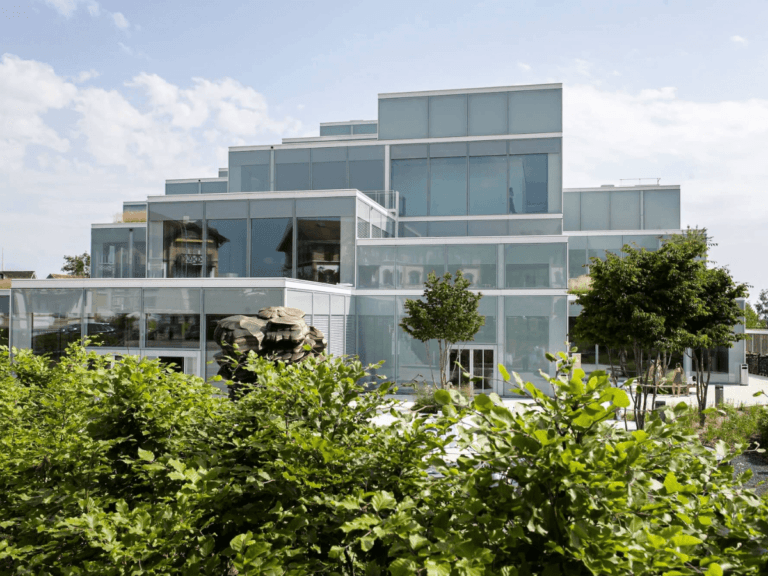 Michael Institute of Management (Business School)-gallery-image-3