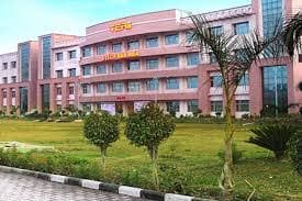 IP Sports College of Education Research and Technology-image