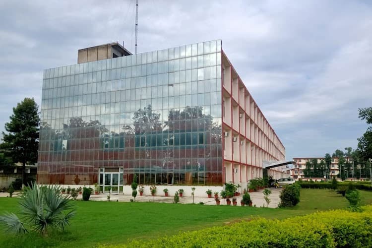 College of Engineering & Management-image