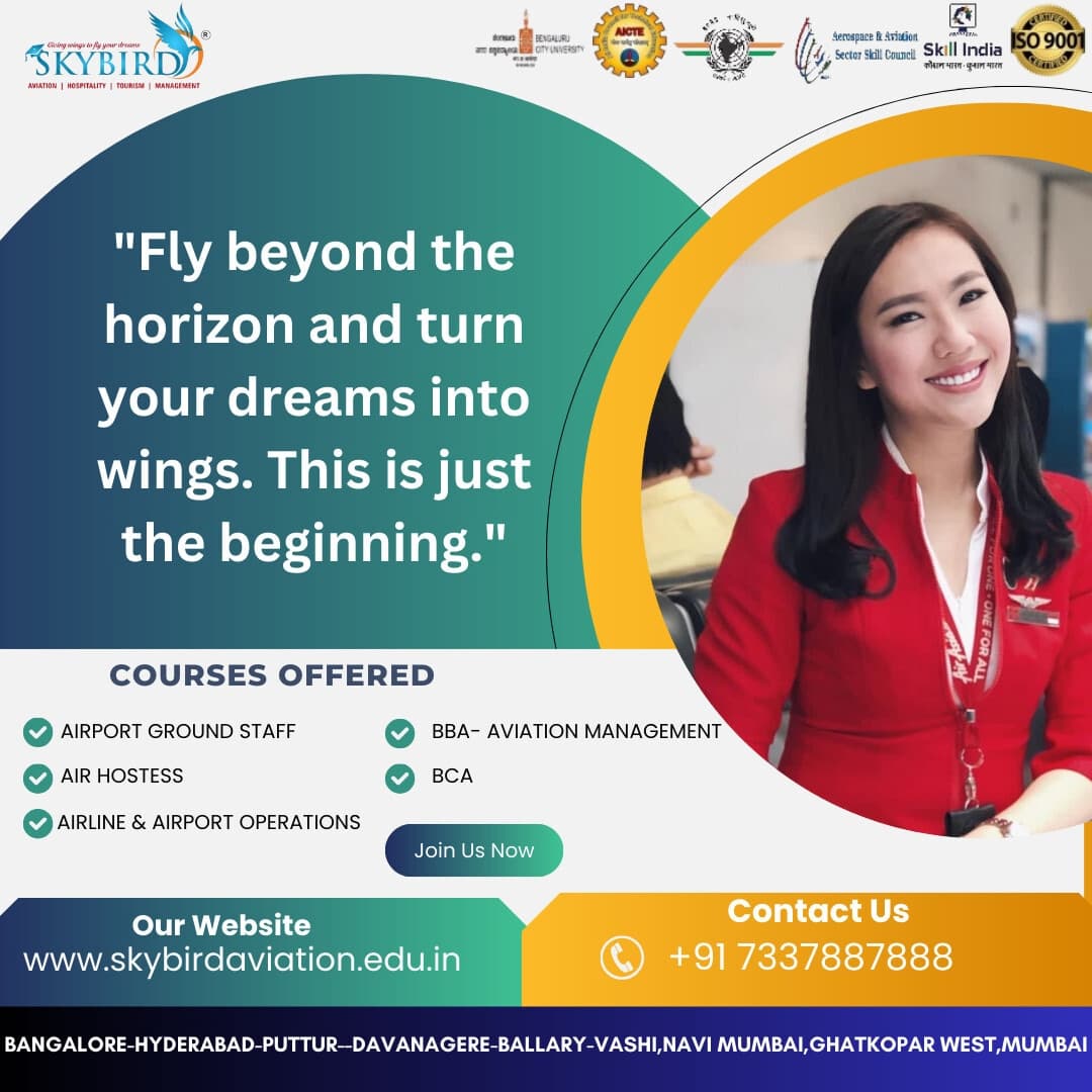 Skybird Aviation-image