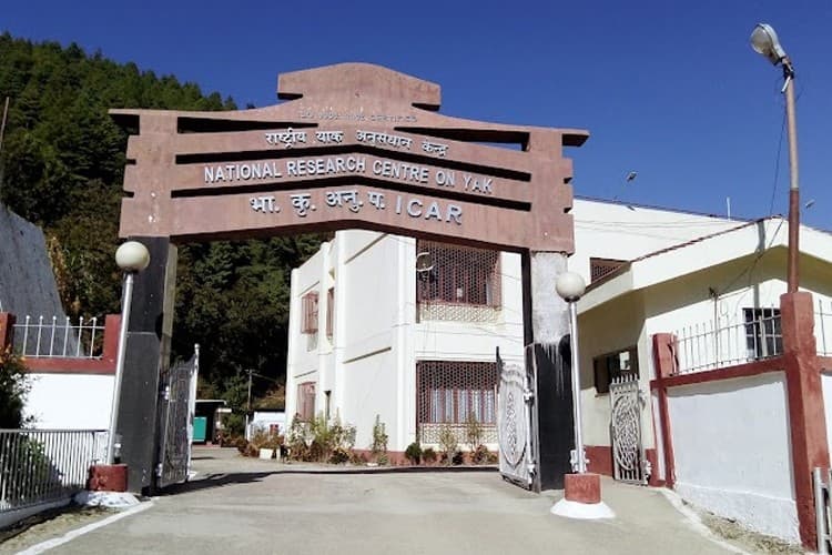 National Research Centre on Yak campus