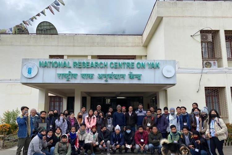National Research Centre on Yak-image
