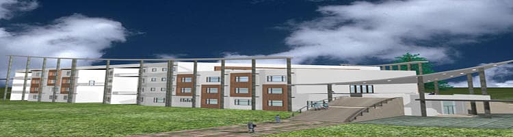 Ravi Shankar Institute of Technology and Management-image