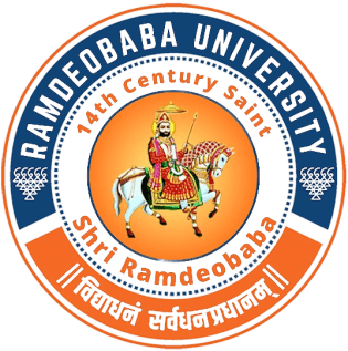 Shri Ramdeobaba College of Engineering and Management-gallery-image-3