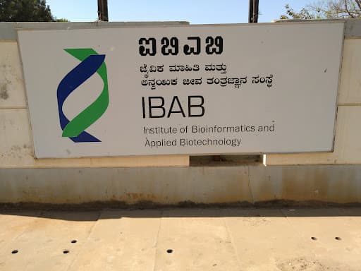 Institute of Bioinformatics and Applied Biotechnology-gallery-image-6
