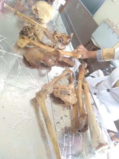 Dr. PDMMC Amravati-gallery-image-5