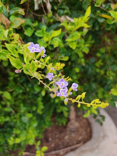 MMSC Nagpur-gallery-image-5