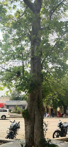 Annasaheb Gundawar College-gallery-image-5